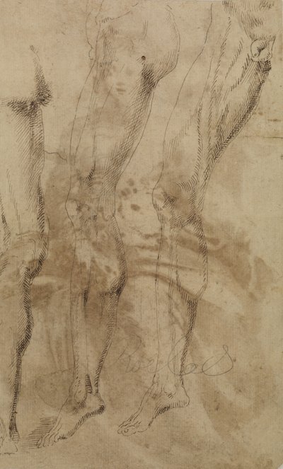 एक पुरुष पैर के तीन अध्ययन, c.1637 द्वारा अलोंसो बेरुगुएते