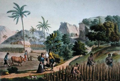 गुआम का द्वीप: पोमेल द्वारा उकेरी गई 'ए वॉयज अराउंड द वर्ल्ड ऑन द कॉर्वेट्स ऑफ यूरेनिया 1817-20' से कृषि कार्य, 1825 में प्रकाशित (उत्कीर्णन) द्वारा अल्फोंस (बाद में) पेलियन