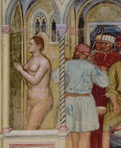  द्वारा अल्टिचिएरो दा ज़ेवियो