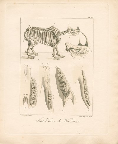  द्वारा एम्ब्रोसियस गेबलर