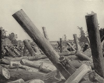 सेंट क्रोक्स नदी, विस्कॉन्सिन में एक लॉग जाम (बी / डब्ल्यू फोटो) द्वारा अमेरिकी फ़ोटोग्राफ़र (बाद में)