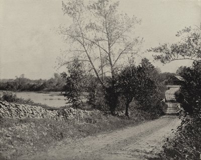 विंडहैम मेंढक तालाब, विंडहैम, कनेक्टिकट (बी / डब्ल्यू फोटो) द्वारा अमेरिकी फ़ोटोग्राफ़र (बाद में)