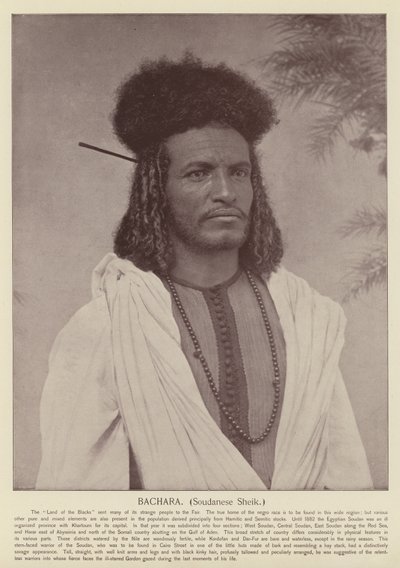 बचरा, सौदानीस शेख द्वारा American Photographer