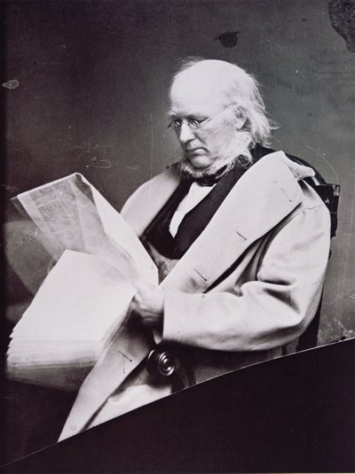 होरेस ग्रीले (1811-72) (बी/डब्ल्यू फोटो) द्वारा अमेरिकी फोटोग्राफर