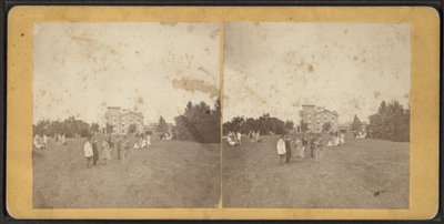 नॉर्थ फ्रंट एंड लॉन, वनडा कम्युनिटी, न्यूयॉर्क स्टेट, c.1870 द्वारा अमेरिकी फोटोग्राफर