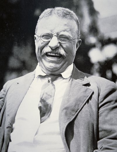 राष्ट्रपति थियोडोर रूजवेल्ट, c.1917 (b/w फोटो) द्वारा अमेरिकी फोटोग्राफर