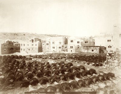 1898-1911 अग्रभूमि में छिपाई के साथ हेब्रोन में टेनरी द्वारा अमेरिकी फोटोग्राफर