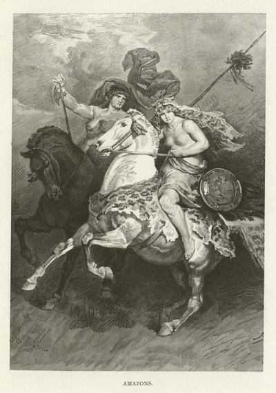 Amazons द्वारा अमेरिकी स्कूल