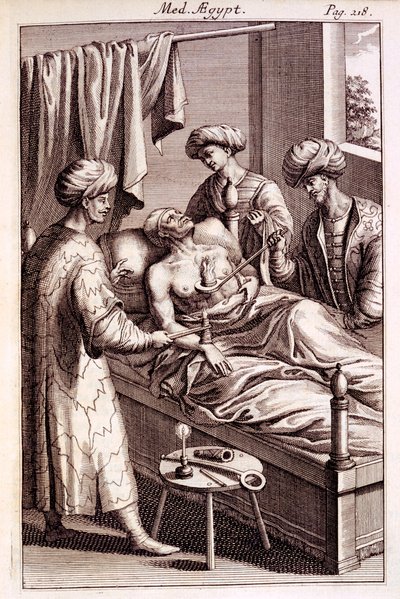 प्रोस्पेरो एल्पिनस, 1745 द्वारा मेडिसिन आइजोरम से मोक्सीबस्टन का चित्रण द्वारा अमेरिकी स्कूल