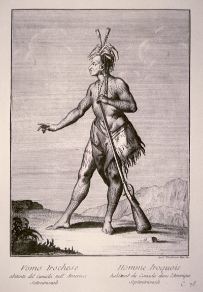 Iroquois योद्धा द्वारा अमेरिकी स्कूल