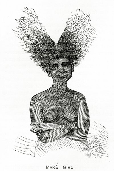 घोड़ी लड़की, एप्लेट्स जर्नल से चित्रण, 4 मई, 1872 द्वारा अमेरिकी स्कूल