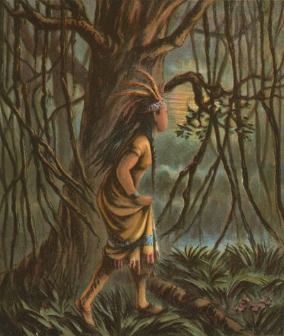 Pocahontas द्वारा अमेरिकी स्कूल