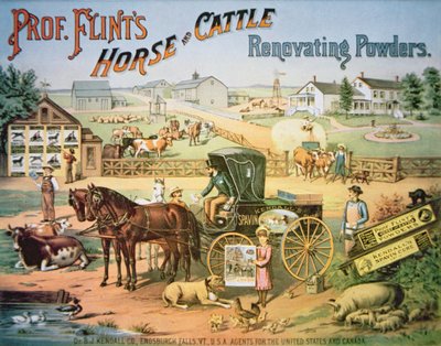 'प्रोफेसर फ्लिंट्स हॉर्स एंड कैटल रेनोवेटिंग पाउडर', c.1900 (कलर लिथो) द्वारा अमेरिकी स्कूल