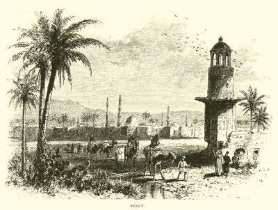 siout द्वारा अमेरिकी स्कूल