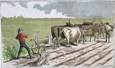 अमेरिकी पश्चिम के सोडबस्टर्स, c.1880 (रंगीन उत्कीर्णन) द्वारा अमेरिकी स्कूल