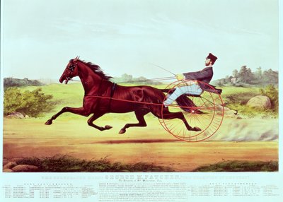 नाथनियल क्यूरियर (1813-88) और जेम्स मेरिट इवेस (1824-95), 1860 द्वारा उत्कीर्ण, मनाया हुआ घोड़ा, जॉर्ज एम। पैटन, द चैंपियन ऑफ़ द टर्फ द्वारा American School