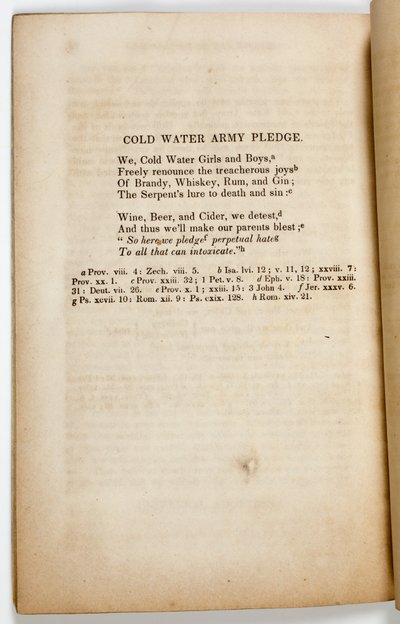 द कोल्ड वाटर आर्मी प्लेज, 1842 द्वारा अमेरिकी स्कूल