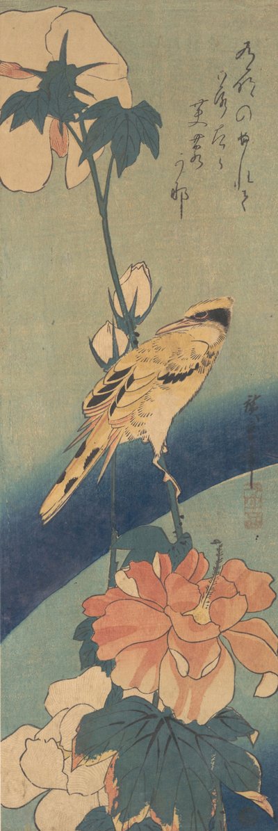 ब्लैक-नेप्ड ओरिओल, गुलाब मलो के तने पर बैठा हुआ, ca. 1834., सीए। 1834. द्वारा एंडो हिरोशिगे