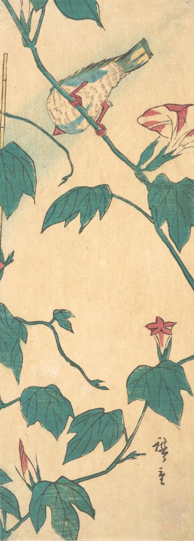 मॉर्निंग ग्लोरीज़ एंड बर्ड, 1840-50., 1840-50। द्वारा एंडो हिरोशिगे
