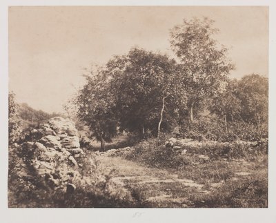  द्वारा आंद्रे गिरौक्स