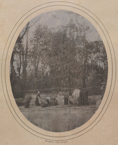  द्वारा आंद्रे एडोल्फ यूजीन डिसडेरी