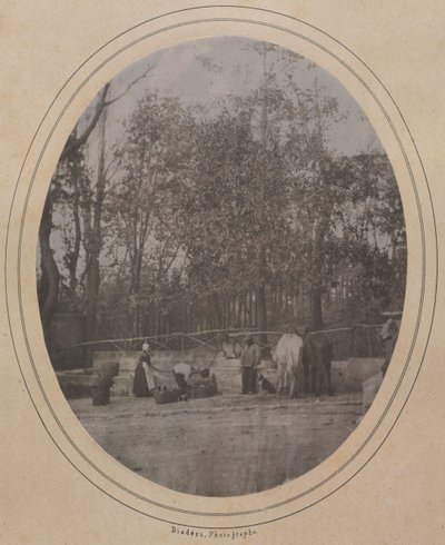 विलेज सीन दक्षिणी फ्रांस, सी। 1853। द्वारा आंद्रे एडोल्फ यूजीन डिसडेरी