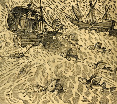 उष्णकटिबंधीय समुद्रों में उड़ने वाली मछली, आंद्रे थेवेट (1504-1592), पेरिस द्वारा कॉस्मोग्राफी यूनिवर्सेल से उकेरी गई द्वारा आंद्रे तिवेट