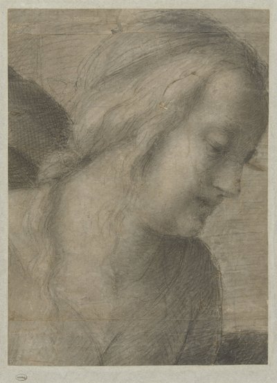 मरियम का सिर, एक आराधना में द्वारा Andrea del Sarto