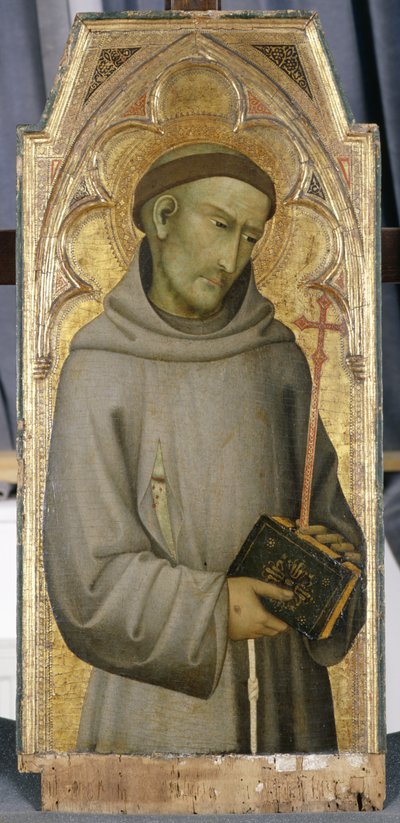 सेंट फ्रांसिस, c.1375 (चिनार की लकड़ी पर तड़का) द्वारा एंड्रिया डि वन्नी डी एंड्रिया सालवानी एंड्रिया डी वानी डी एंड्रिया सालवानी