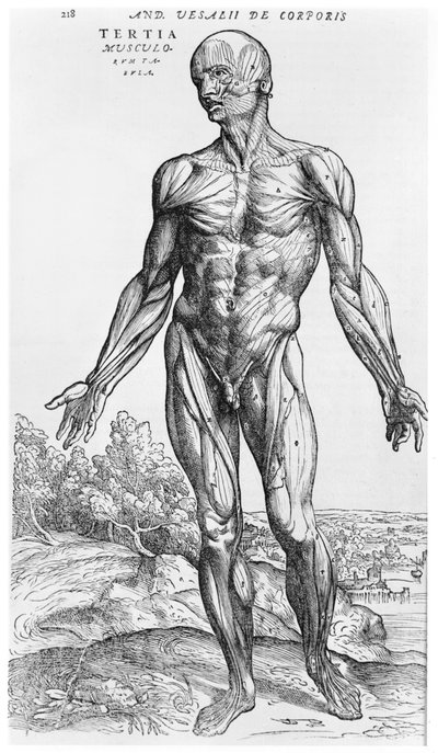 शारीरिक अध्ययन, "मानव शरीर डिवाइस" से Andreas Vesalius (1514-1564), बेसल, 1543 से द्वारा Andreas Vesalius