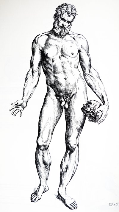 डे हमनी कॉर्पोरिस फेब्रीका की सातवीं पुस्तक से प्लेट द्वारा Andreas Vesalius