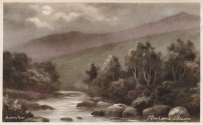  द्वारा एंड्रयू बीयर