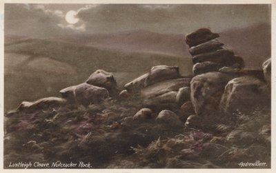  द्वारा एंड्रयू बीयर