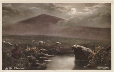  द्वारा एंड्रयू बीयर