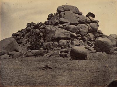  द्वारा एंड्रयू जोसेफ रसेल