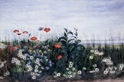  द्वारा एंड्रयू निकोल