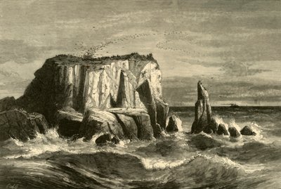 कोस्ट सीन, मारिन काउंटी, 1872। द्वारा एंड्रयू वरिक स्टाउट एंथोनी