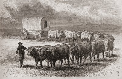 1867 में अमेरिका के महान मैदानों में ड्राइविंग बैल, 1878 में प्रकाशित &39;द वर्ल्ड इन द हैंड्स&39; से चित्रण द्वारा आंग लुइस जेनेट