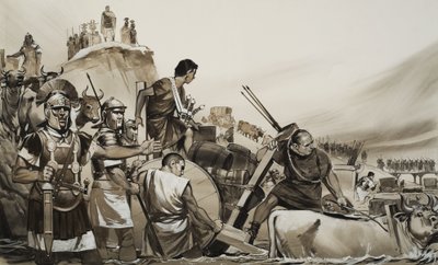  द्वारा एंगस मैकब्राइड