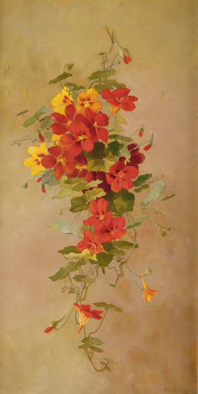 nasturtiums द्वारा अन्ना एलिजा हार्डी