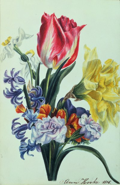वसंत के फूल, 1815 द्वारा Anne Hooke