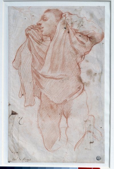 युवा लड़का अपनी शर्ट उतार रहा है Annibale Carracci dit le Carrache (1560-1609) Sun द्वारा ड्रॉइंग ए ला सेंगुइन। 0.35x0.22 मीटर पेरिस, लौवर संग्रहालय द्वारा एनीबेल कार्रेसी