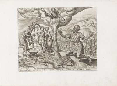  द्वारा Maarten van Heemskerck