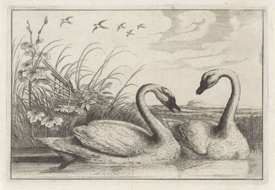  द्वारा Wenceslaus Hollar