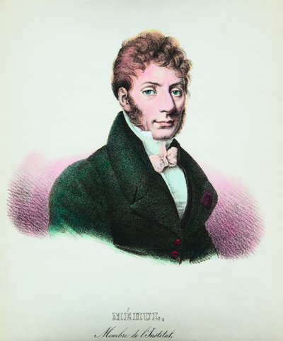 इटियेन निकोलस मेहुल (1763-1817) संगीतकार का पोर्ट्रेट, निजी संग्रह द्वारा अनाम अनाम