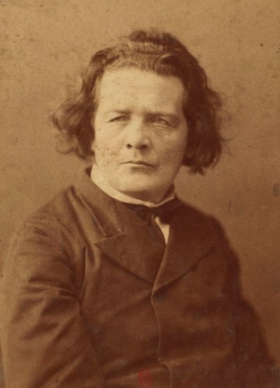 संगीतकार एंटोन रुबिनस्टीन (1829-1894) का पोर्ट्रेट, बेनामी। एल्बुमिन फोटो। निजि संग्रह द्वारा अनाम अनाम