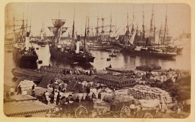 1885 -1890 के आसपास मार्सिले और उसके आसपास का शहर: बेसिन डे ला जोलीएट, बिल्लियों पर कार्गो बोर्डिंग, निजी संग्रह द्वारा अनाम अनाम