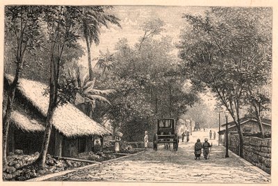 सीलोन (श्रीलंका) में कोलंबो से एक सड़क का दृश्य। लुई-यूजीन (लुई यूजीन) लौवेट द्वारा "लेस मिशन कैथोलिक्स औ XIXeme सिकल" में उत्कीर्णन। निजि संग्रह। द्वारा अनाम अनाम