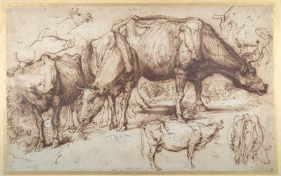 चरागाह में मवेशी, c.1618-20 (कागज पर धोने के साथ कलम और स्याही) द्वारा एंथोनी वैन डाइक