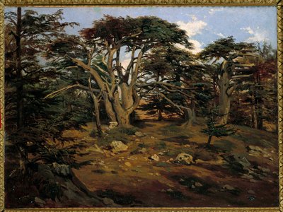 एंटोइन अल्फोंस मोंटफोर्ट (1802-1884) 19वीं सदी के सूर्य द्वारा माउंट लेबनान ए बौमाना पेंटिंग पर पुराने देवदार। 0.32x0.44 मीटर पेरिस, ऑर्से संग्रहालय द्वारा एंटोनी अल्फोंस मोंटफोर्ट